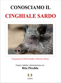 Libri EPDO - Rita Piredda